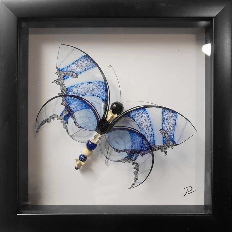 Parsley's butterfly 00002