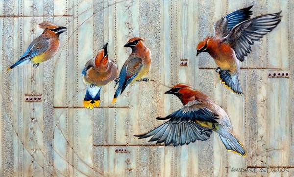 Waxwing Rhapsody