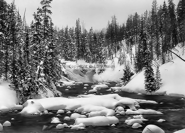 A Yellowstone waterfall in Winter