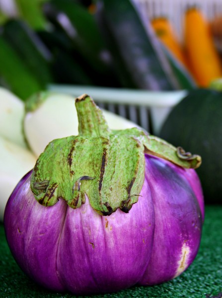 Round Eggplant