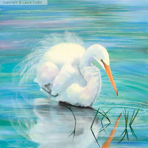 Snowy Egret