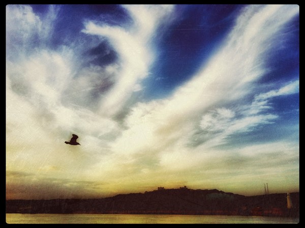 Flight