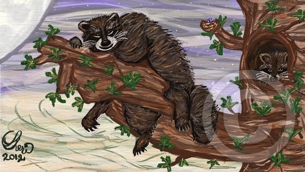 Jason's Raccoon