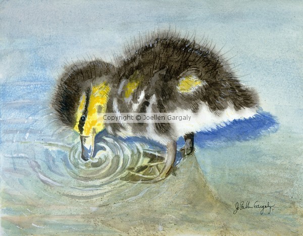 Fluffy Ducky