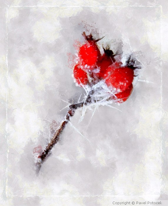 Frozen rosehips