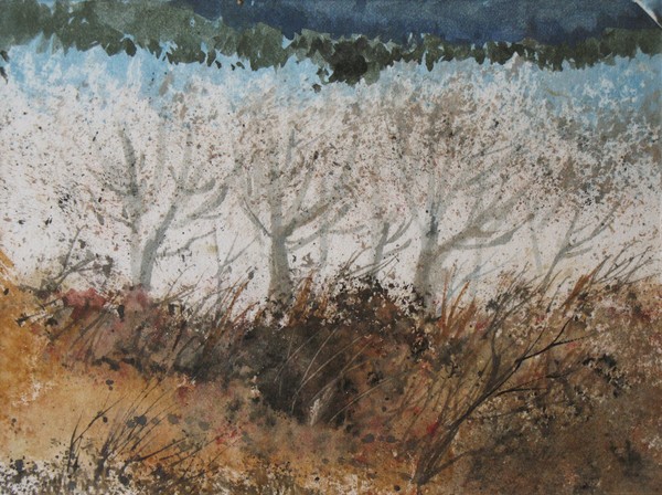 Snowy Trees