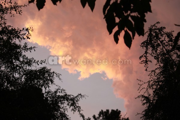 Sunset Silhouette