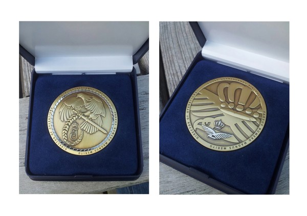 Royal Netherlands Airforce Coin
