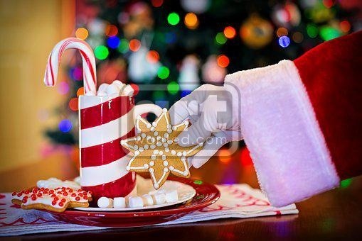 christmas (100)