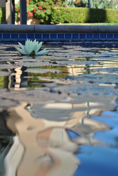 Ripple