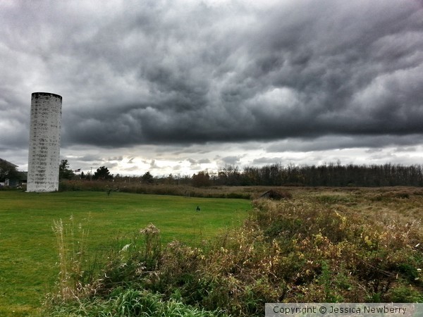 Country side