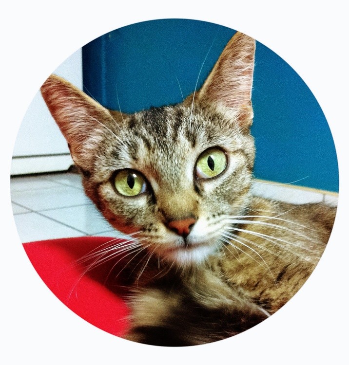 Karen Muro pretty green eyes