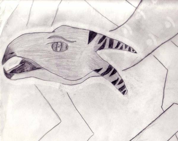 Another dragon