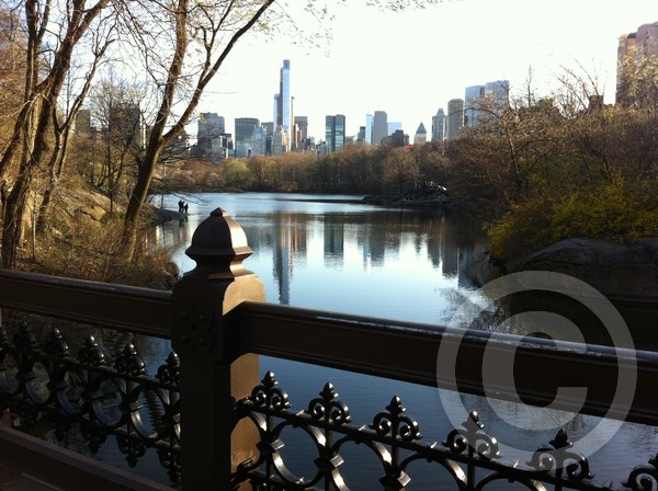 centralparkg