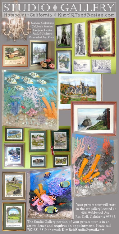 New Studio-Gallery Tour