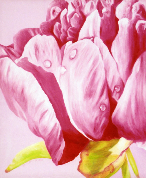 Perky Peony