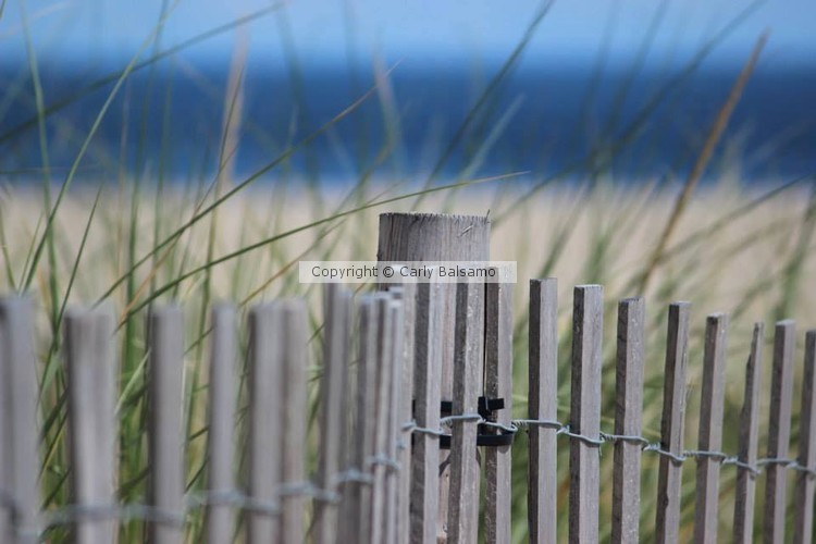 Dunes. Ocean Grove, NJ