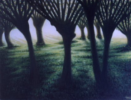 Willows