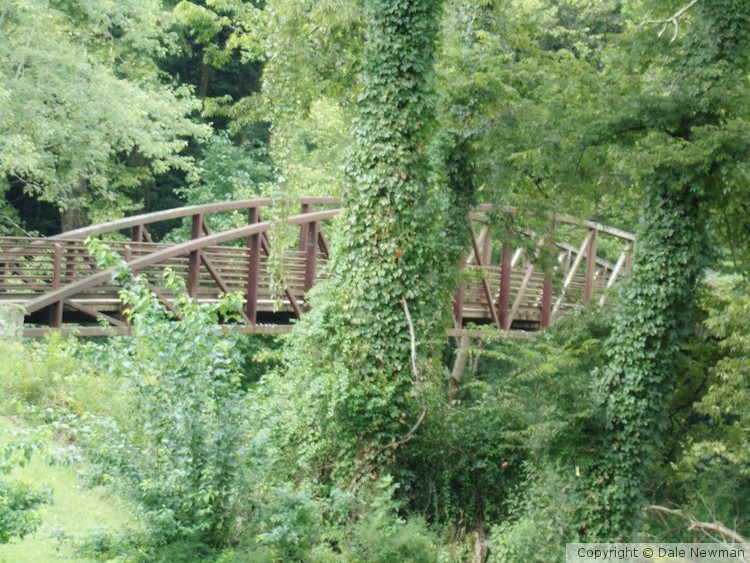 The Bridge Between Two Worlds