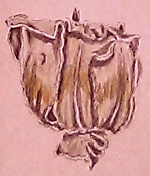 Tulip Tree Flower Drawing