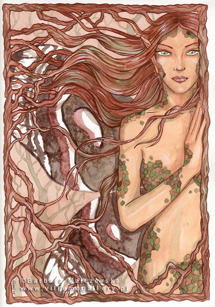the moth queen