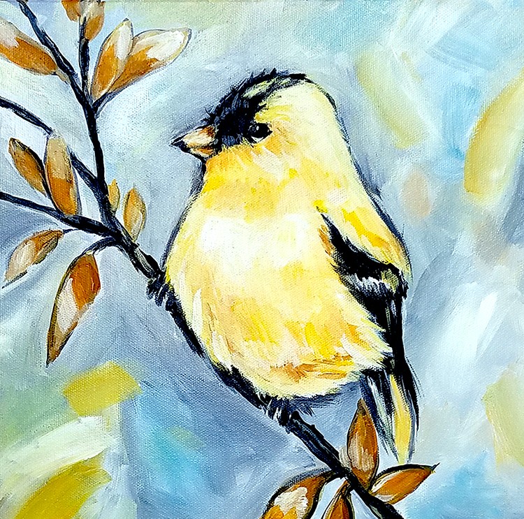 Yellow Finch bird
