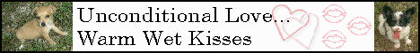R & P Kennels Banner 2