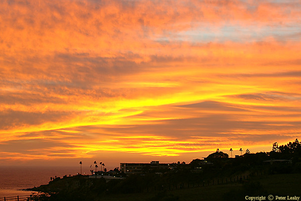 Sky Show