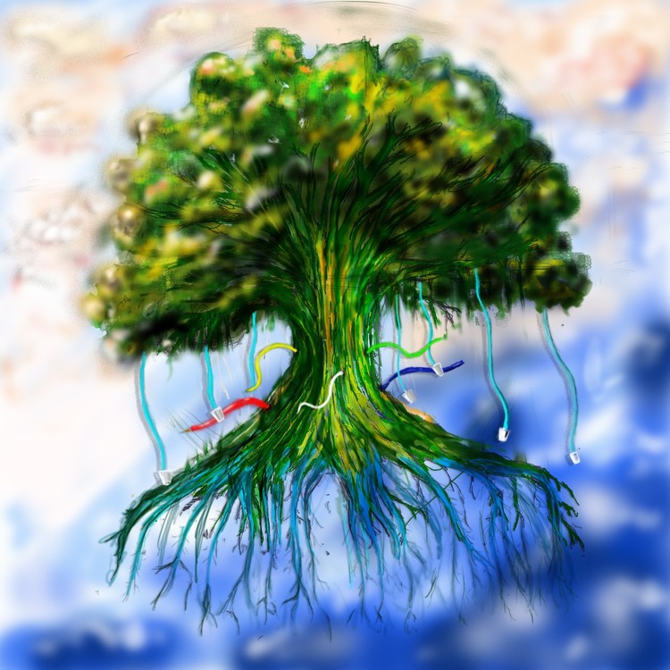 thumbnail Tree of birth