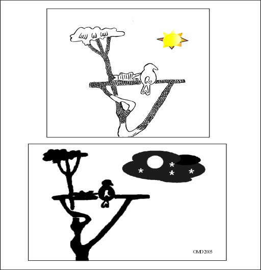 Bird-on-Limb