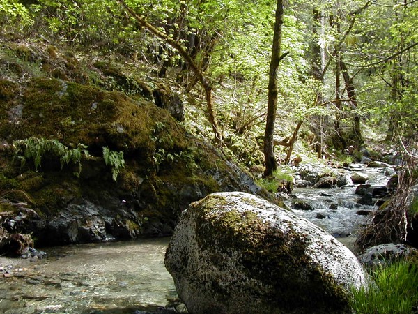 Mill Creek 2