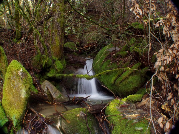 Unknown cascade
