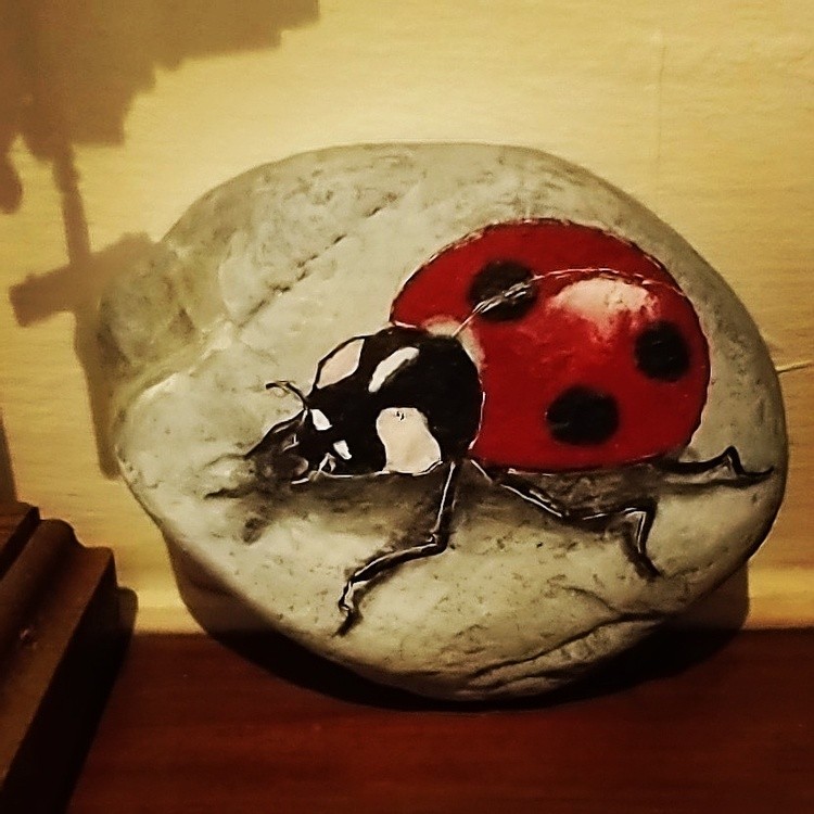 Rock Art - Ladybug