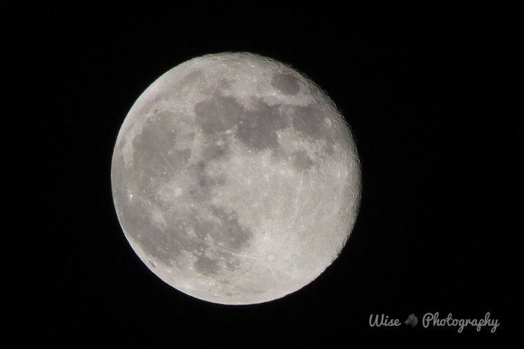 Shame on the Moon 