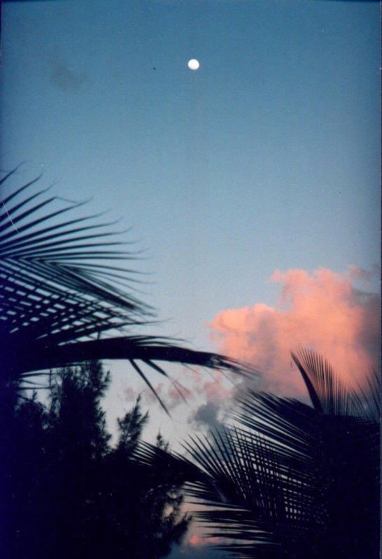 Moonlight at Sunset