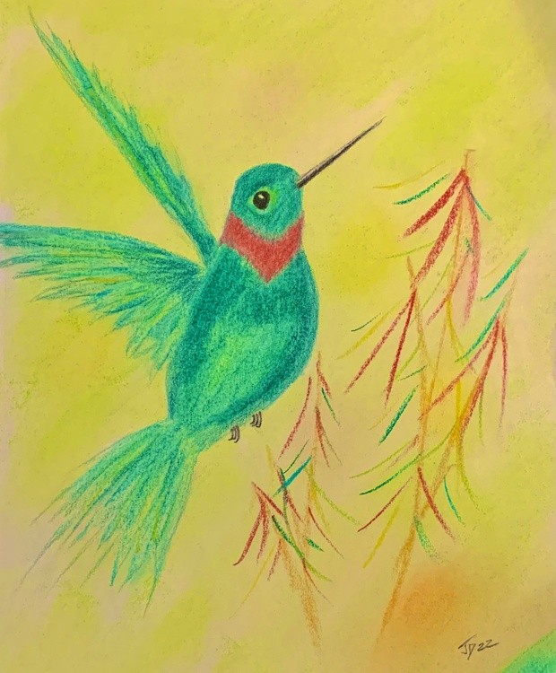 Humming Bird 22 (2)