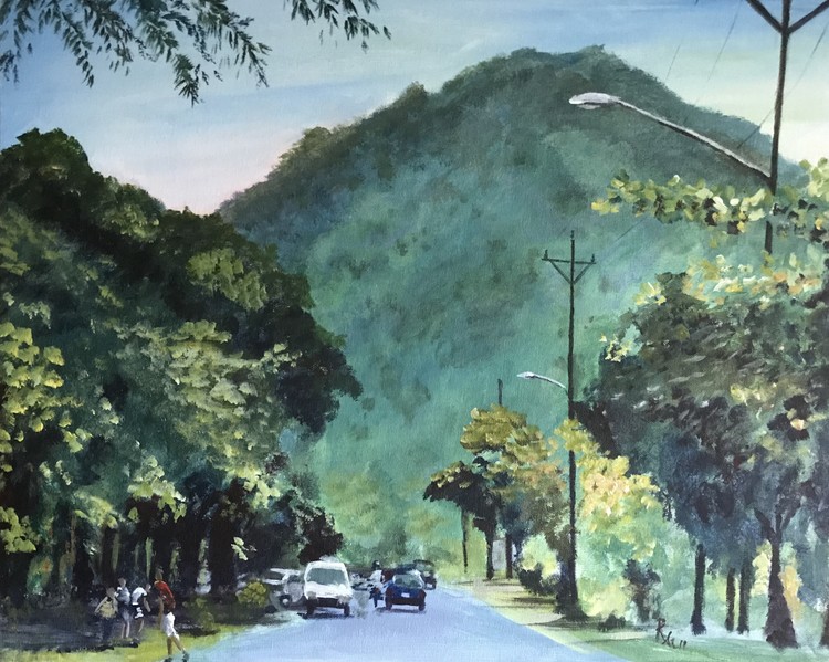 Cayey en Jaco