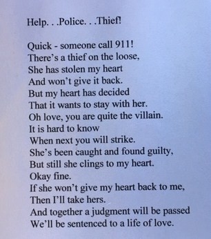Help...Police...Thief