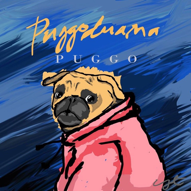 Puggo