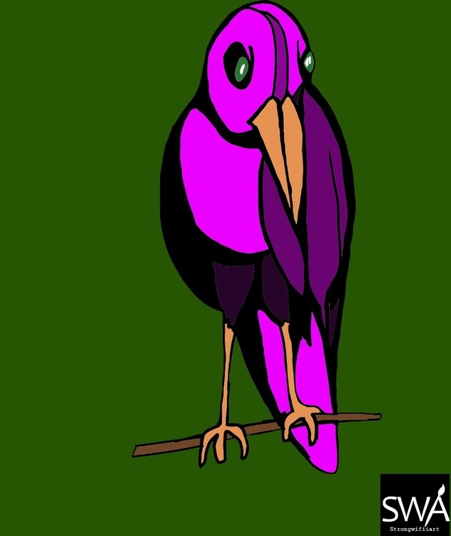 Unknown bird