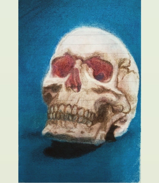 Skull study