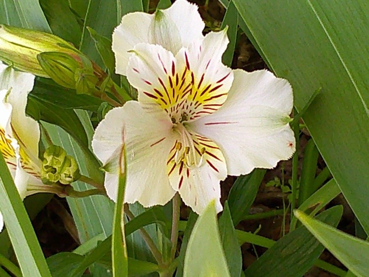 DSCF0076