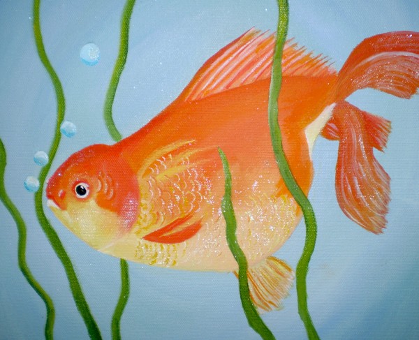 goldfish