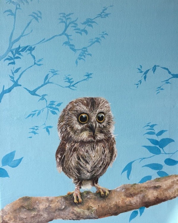 A baby Little Owl