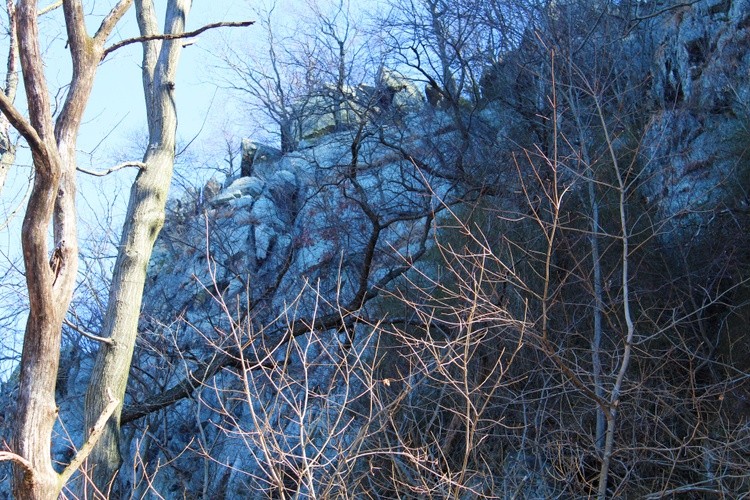 IMG 7878
