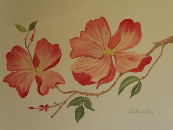 Red Dogwood