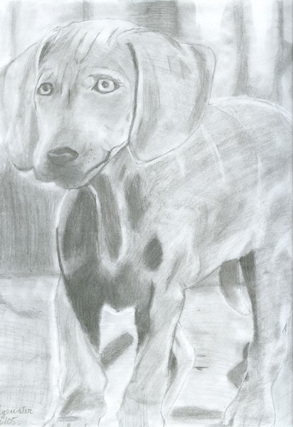 Puppy Eyes