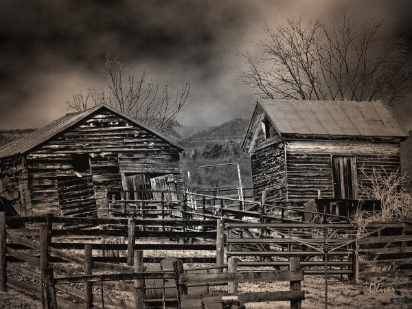 Survivors Of Time