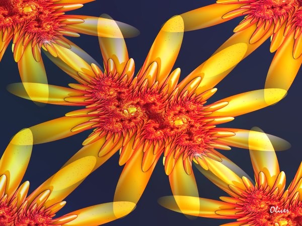 Floral003