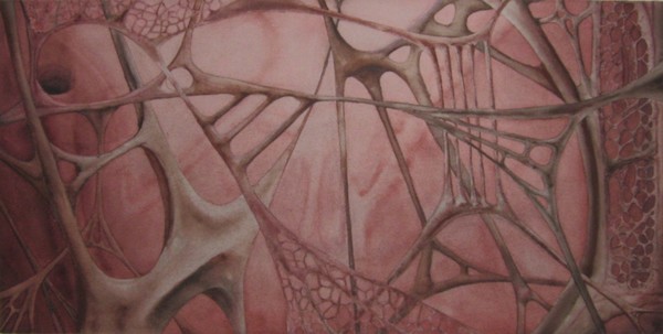 Uterosacral